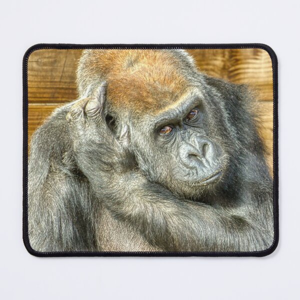 Item preview, Gorilla Confusion designed and sold by HelkoryoArt.