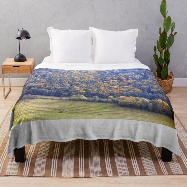 Item preview, Autumn forest in Lower Austria landscape,Austria designed and sold by goceris.