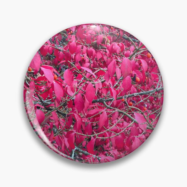 Item preview, Red Leafed Bush  designed and sold by Amanda1775.
