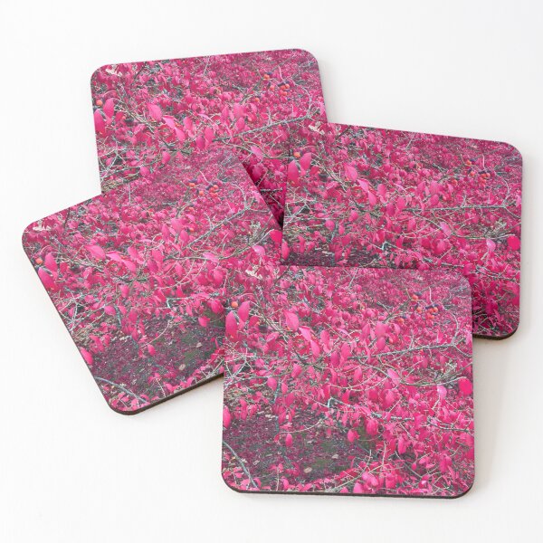 Item preview, Red Leafed Bush  designed and sold by Amanda1775.