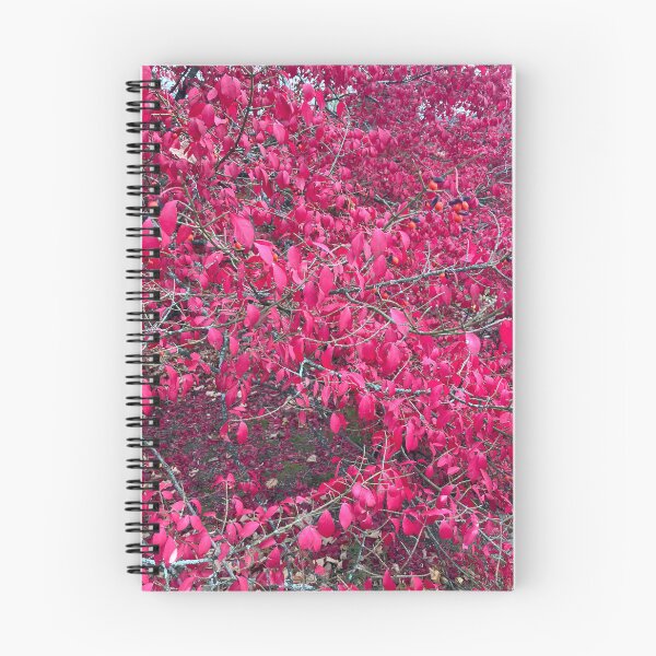 Item preview, Red Leafed Bush  designed and sold by Amanda1775.