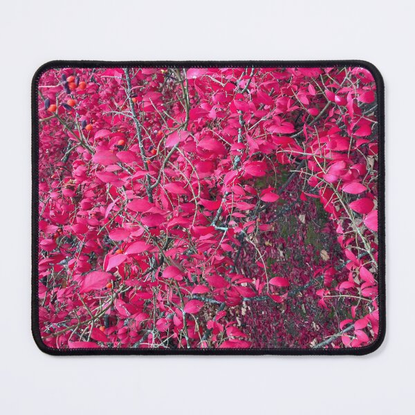 Item preview, Red Leafed Bush designed and sold by Amanda1775.