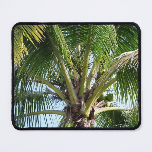 Item preview, Minimalist Coconut Palm Tree with Green Fronds designed and sold by NatureUnleashed.