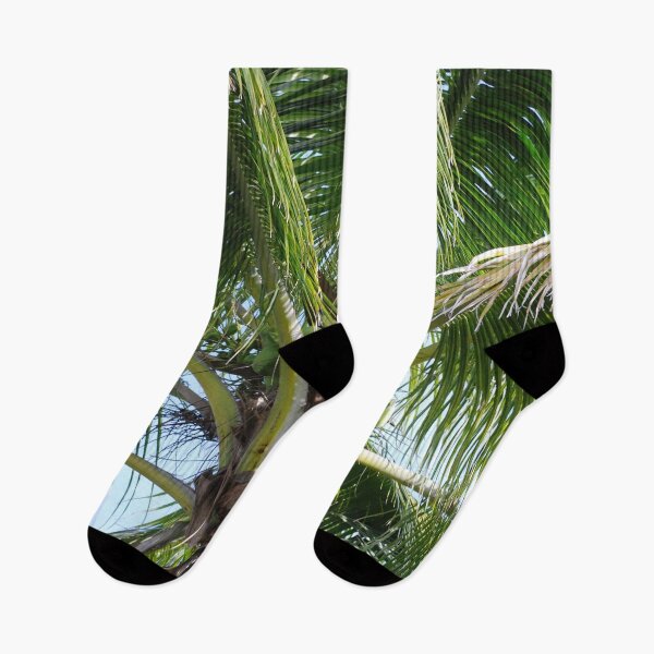 Item preview, Minimalist Coconut Palm Tree with Green Fronds designed and sold by NatureUnleashed.