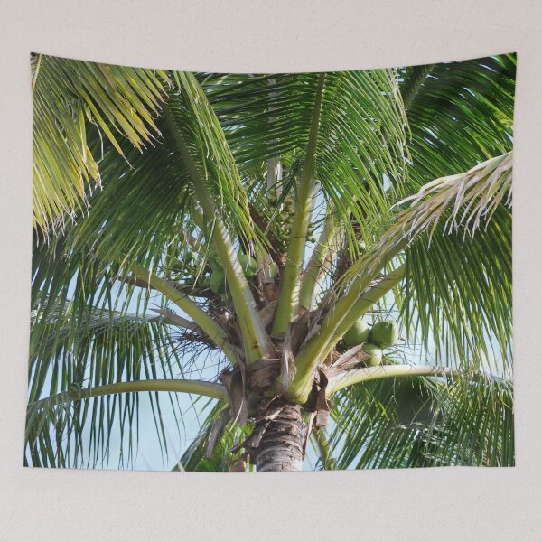Item preview, Minimalist Coconut Palm Tree with Green Fronds designed and sold by NatureUnleashed.