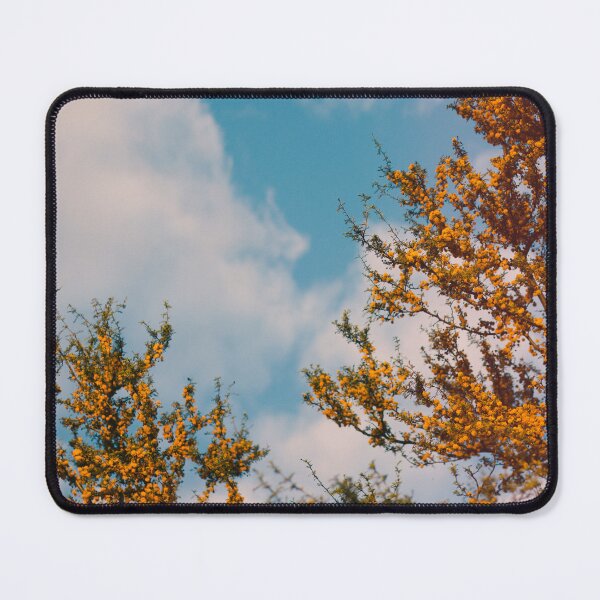 Item preview, Spring designed and sold by Federico-Jesus.