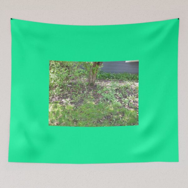 Item preview, moss on tree designed and sold by wormink.