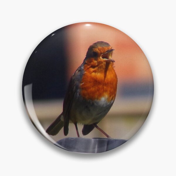 Item preview, Singing Robin designed and sold by The Sleepy Penguin.