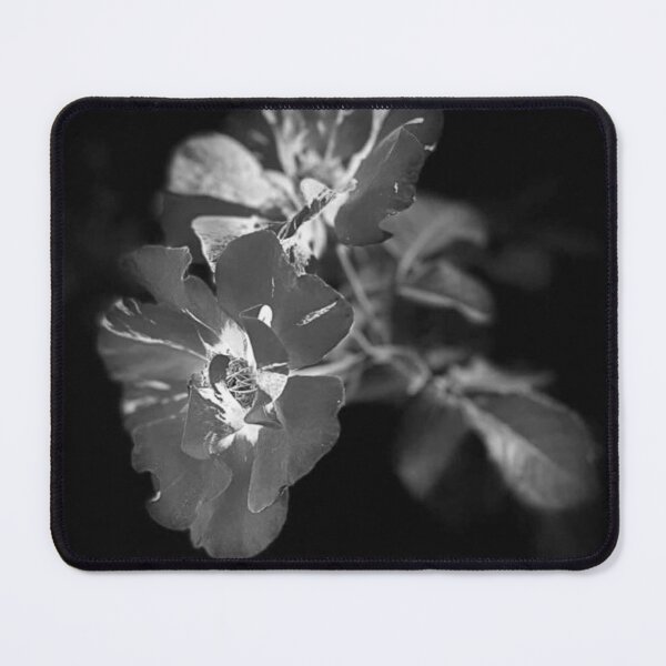 Item preview, Delicate petals unfold, showcasing intricate textures and shadows designed and sold by IFLYBaby.