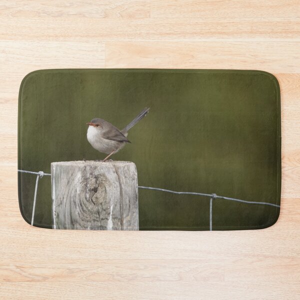 Item preview, Sweet little female Superb Fairy-wren on a post designed and sold by imaginethis.