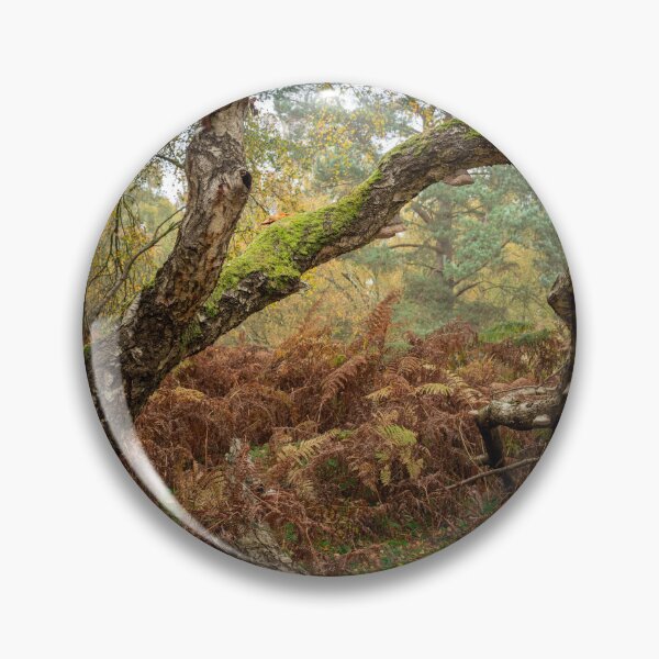 Item preview, British autumn fall woodland tree and leaf colours designed and sold by RobThorley.