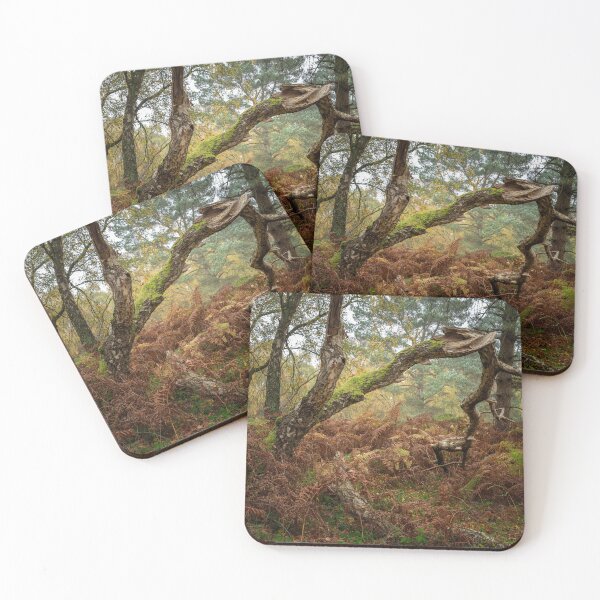 Item preview, British autumn fall woodland tree and leaf colours designed and sold by RobThorley.