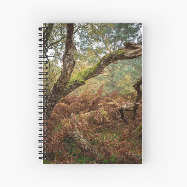 Item preview, British autumn fall woodland tree and leaf colours designed and sold by RobThorley.