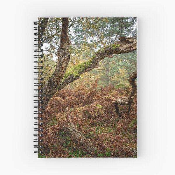 Item preview, British autumn fall woodland tree and leaf colours designed and sold by RobThorley.