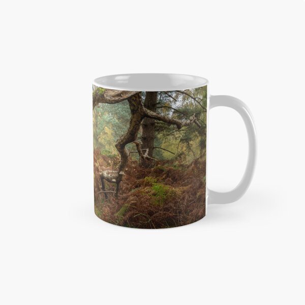 Item preview, British autumn fall woodland tree and leaf colours designed and sold by RobThorley.