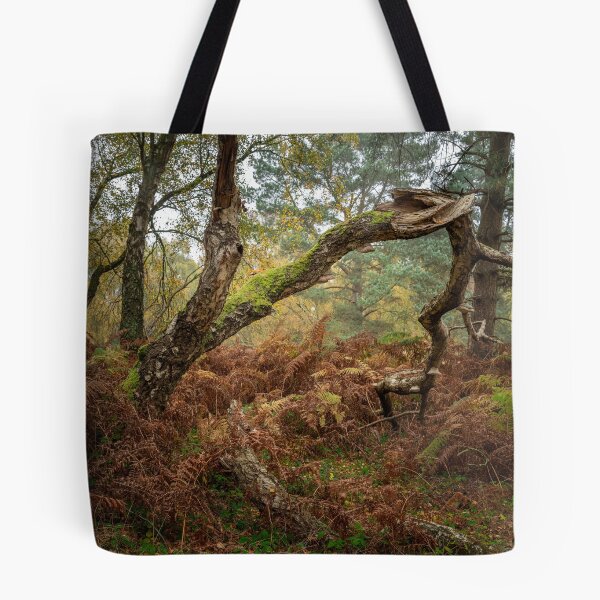 Item preview, British autumn fall woodland tree and leaf colours designed and sold by RobThorley.
