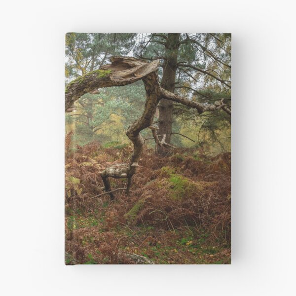 Item preview, British autumn fall woodland tree and leaf colours designed and sold by RobThorley.