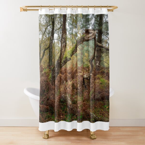 Item preview, British autumn fall woodland tree and leaf colours designed and sold by RobThorley.