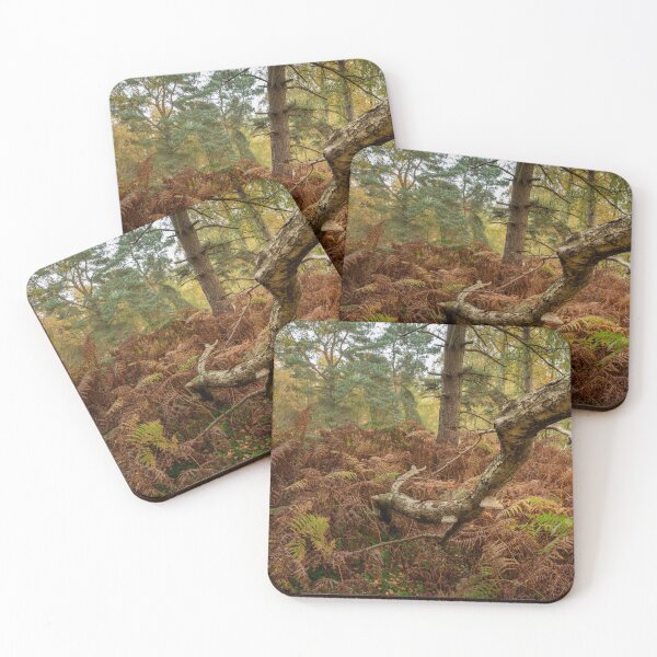 Item preview, British autumn fall woodland tree and leaf colours designed and sold by RobThorley.