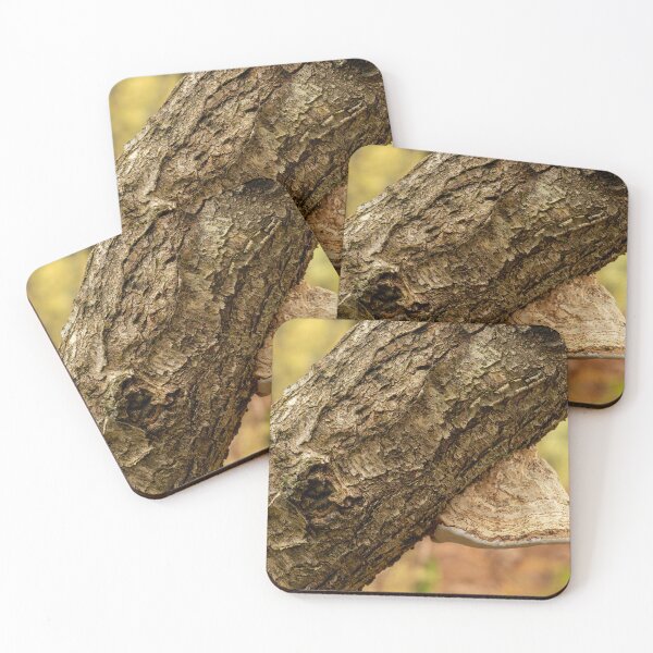 Item preview, Close-up of fungi growing on a silver birch. designed and sold by RobThorley.