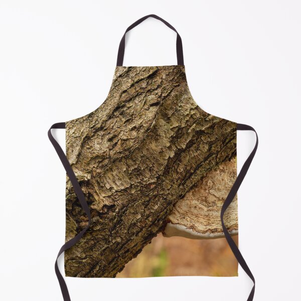Item preview, Close-up of fungi growing on a silver birch. designed and sold by RobThorley.