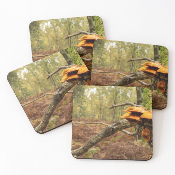 Item preview, Orange coloured fungi on a moss covered tree designed and sold by RobThorley.