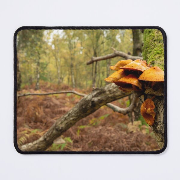 Item preview, Orange coloured fungi on a moss covered tree designed and sold by RobThorley.