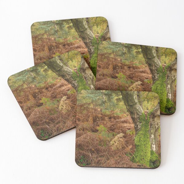 Item preview, British autumn fall woodland tree and leaf colours designed and sold by RobThorley.