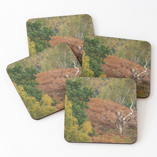 Item preview, British autumn fall woodland tree and leaf colours designed and sold by RobThorley.