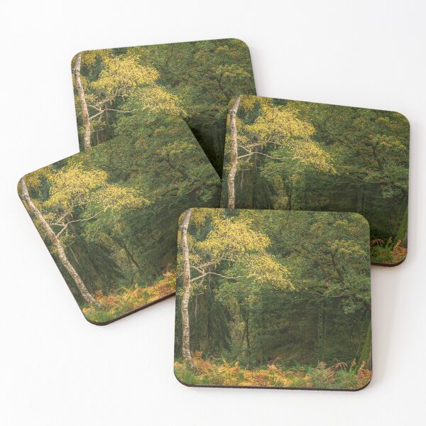 Item preview, British autumn fall woodland tree and leaf colours designed and sold by RobThorley.