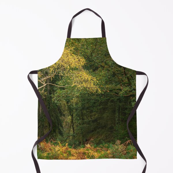 Item preview, British autumn fall woodland tree and leaf colours designed and sold by RobThorley.