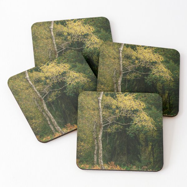 Item preview, British autumn fall woodland tree and leaf colours designed and sold by RobThorley.