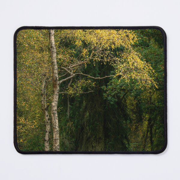 Item preview, British autumn fall woodland tree and leaf colours designed and sold by RobThorley.