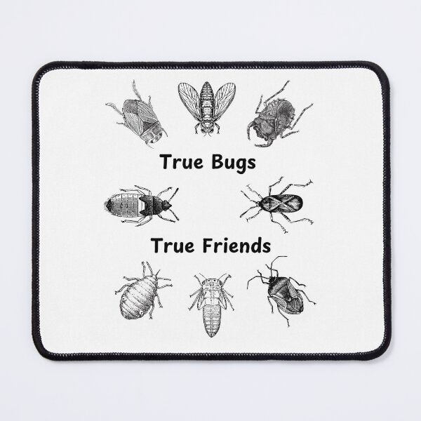 Item preview, True Bugs True Friends (black) designed and sold by Kindred & Thistle.