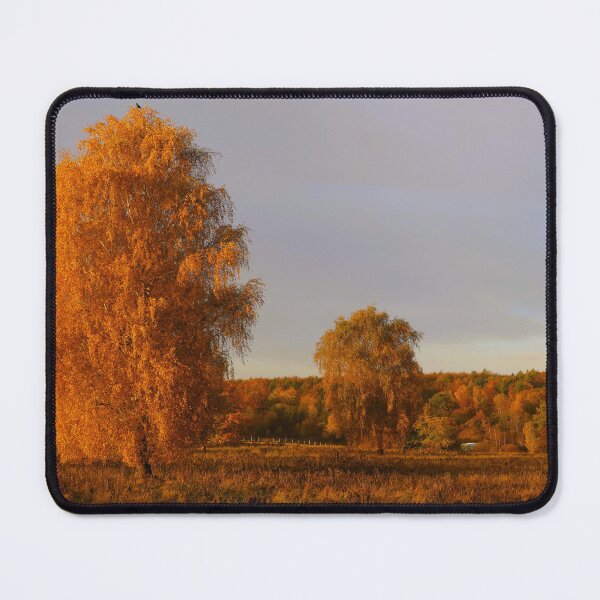 Item preview, Brilliant autumn morning designed and sold by Trine.