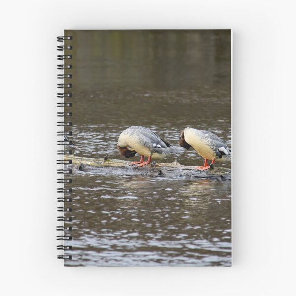 Item preview, Was the water too cold or what. Goosander designed and sold by Jouko Lehto Photography.