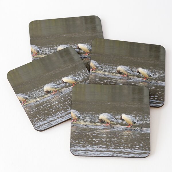 Item preview, Was the water too cold or what. Goosander designed and sold by Jouko Lehto Photography.