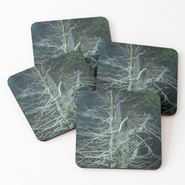 Item preview, Gnarly Tree designed and sold by Chowdershouter.