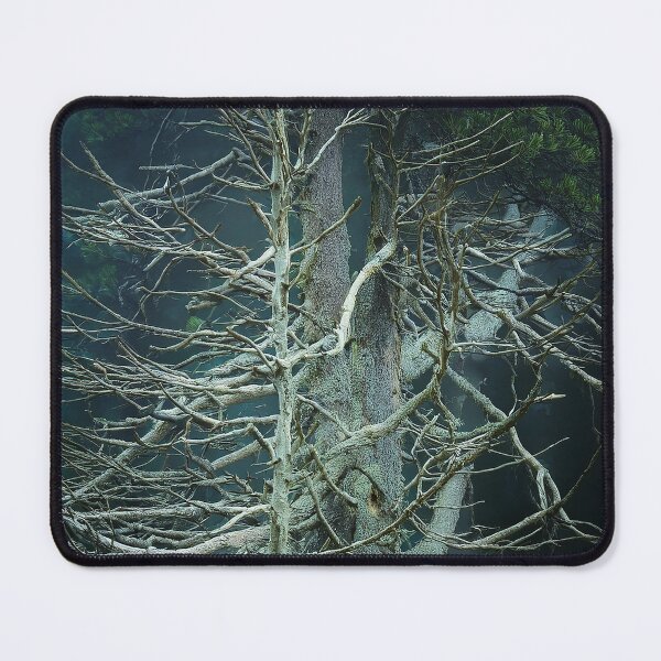 Item preview, Gnarly Tree designed and sold by Chowdershouter.