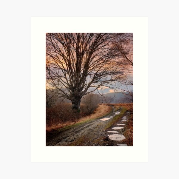 Item preview, Muddy Farm Road Tree designed and sold by Chowdershouter.