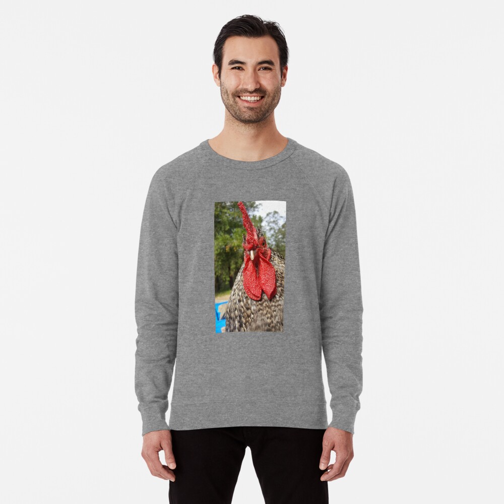 Item preview, Lightweight Sweatshirt designed and sold by BirdsRbeautiful.
