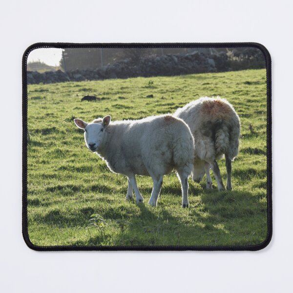 Item preview, Sheeps on the meadow designed and sold by Tatjana  Eva.
