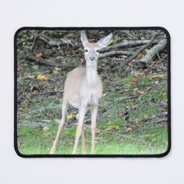 Item preview, Young Deer designed and sold by Kimmary.