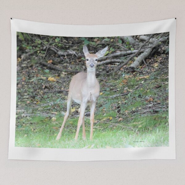 Item preview, Young Deer designed and sold by Kimmary.