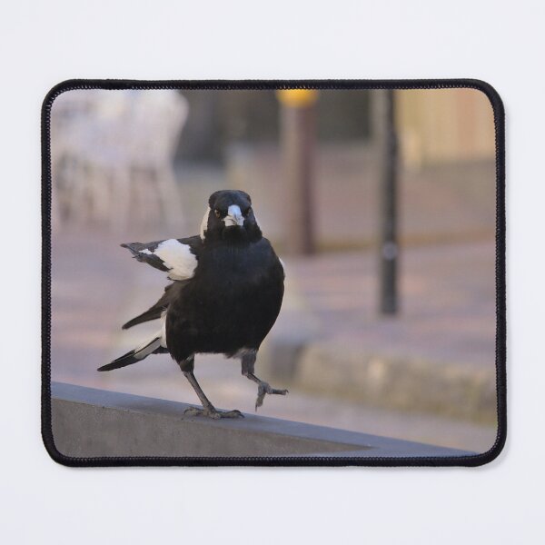 Item preview, Magpie On The Charge designed and sold by Cissa King Photography.