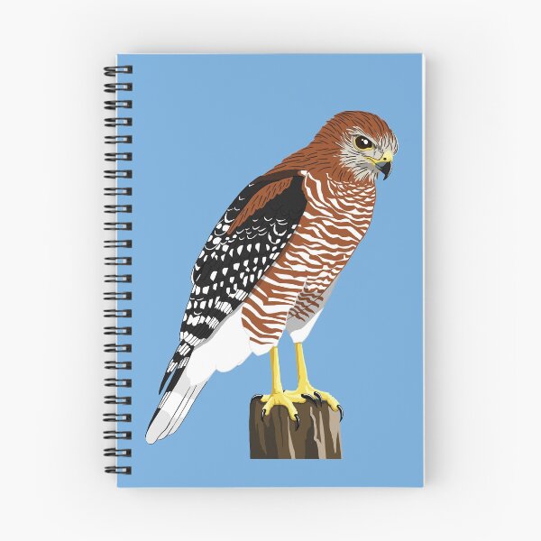 Item preview, Red-Shouldered Hawk designed and sold by BennuBirdy.