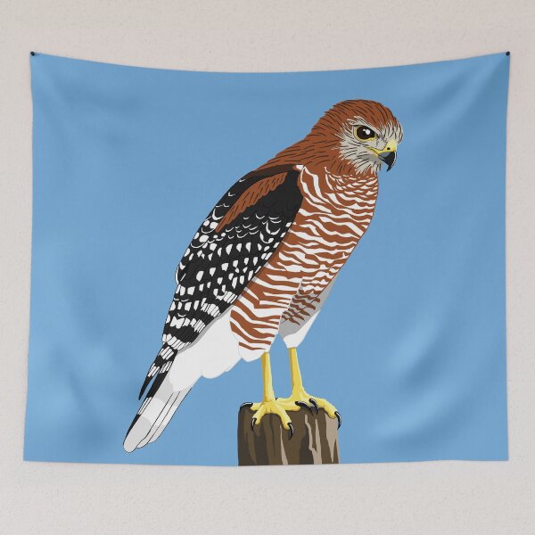 Item preview, Red-Shouldered Hawk designed and sold by BennuBirdy.
