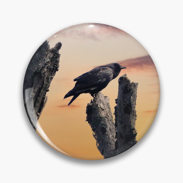 Item preview, Crow at Sunrise designed and sold by Frankie Cat Photography.