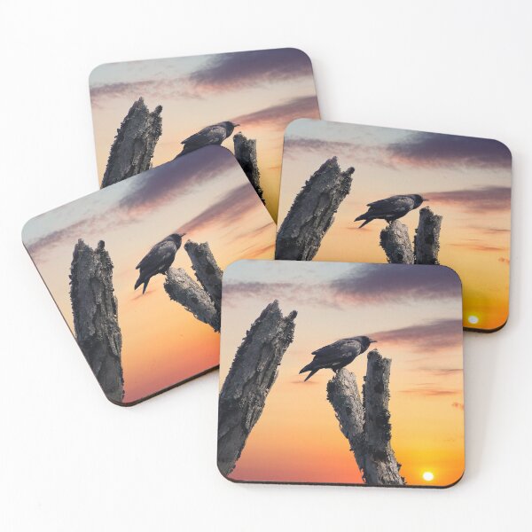Item preview, Crow at Sunrise designed and sold by Frankie Cat Photography.