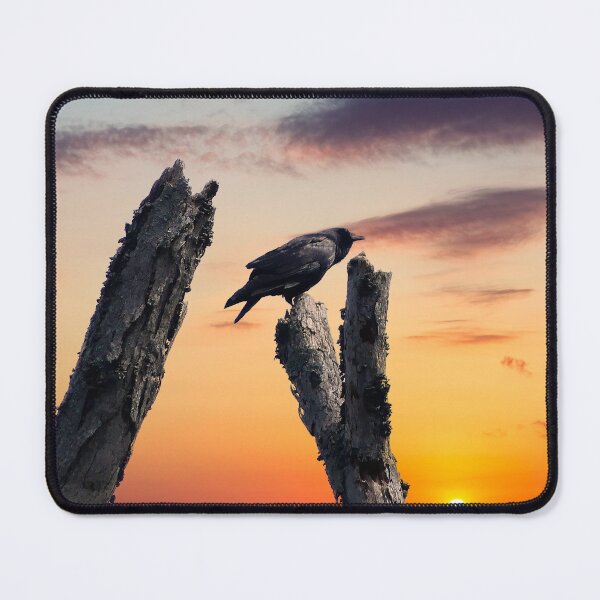 Item preview, Crow at Sunrise designed and sold by Frankie Cat Photography.